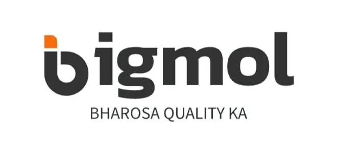 Bigmol